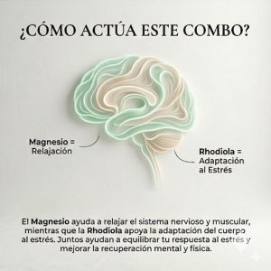🔋 Dúo Energía & Resiliencia – Protocolo de alto rendimiento mental y físico 🌿 (Energía · Gestión del estrés · Recuperación · Claridad mental) ⭐ Protocolo avanzado diseñado para personas con alta exigencia diaria. Esta combinación estratégica une el Magnesio Bisglicinato 100% Quelado y nuestra Fórmula de Rhodiola Comple.
