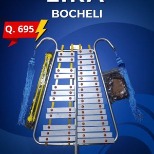 LIRA BOCHELI 29 NOTAS