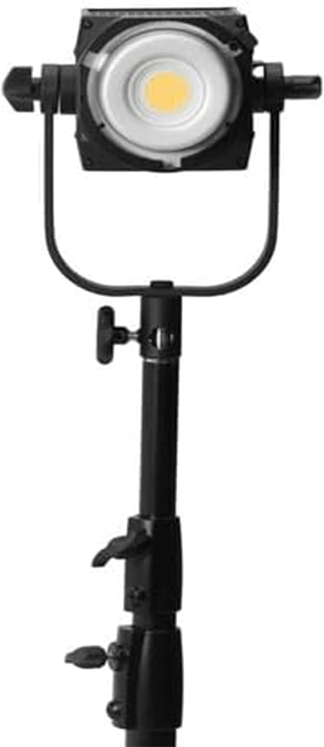 Nanlite FS-300B Foco LED Bicolor de 300W - 2700K-6500K CRI Ajustable 96, Control por App, Luz de Video LED Montura Bowens para Fotografía/Videografía/YouTube/TikTok Creación de Contenido y Transmisión