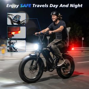 TST Electric Bike for Adults, 1500W Peak Motor 60 Miles Fat Tire Ebike with 48V 15Ah Removable Battery 20" Fat Tire Electric Bike, Dual Suspension，7 Speeds