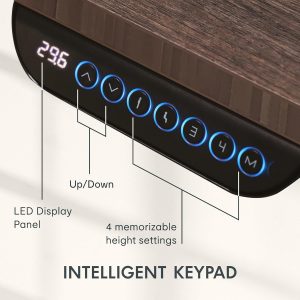 FLEXISPOT E6 MAX - Escritorio de pie de bambú de 60 x 30 pulgadas, con motor dual de 3 etapas, capacidad de peso de 330 libras, escritorio de altura ajustable con gestión de cables y ruedas