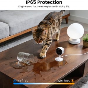 AOQEE 2K Cameras for Home Security-Outdoor/Indoor Camera for Dog/Cat/Pet/Nanny/Baby/Elderly, Color Night Vision, White Light, Siren, 24/7 SD Recordings, Works with Alexa, Plug in (C1-White-2pack-2.4G)