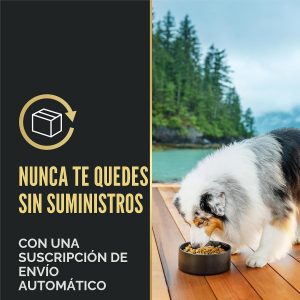 Purina Pro Plan - Alimento para perros de raza grande con piel y estómago sensibles con probióticos, fórmula de salmón y arroz, bolsa de 34 libras