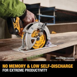 DEWALT 20V MAX 5 Ah Lithium Ion Battery 2-Pack (DCB205-2)