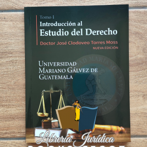 Introducción al Estudio del Derecho Tomo I