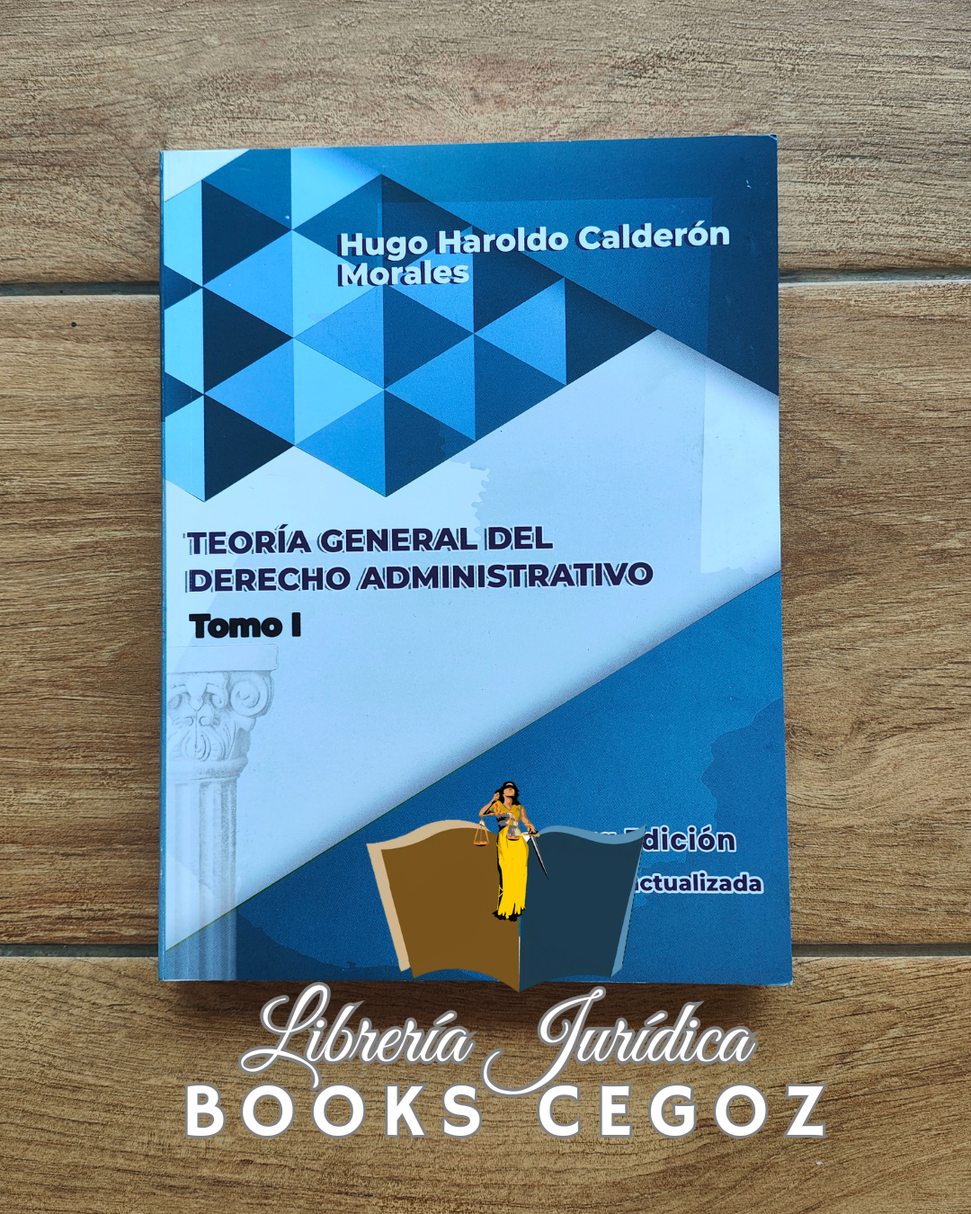 Teoría General del Derecho Administrativo Tomo I