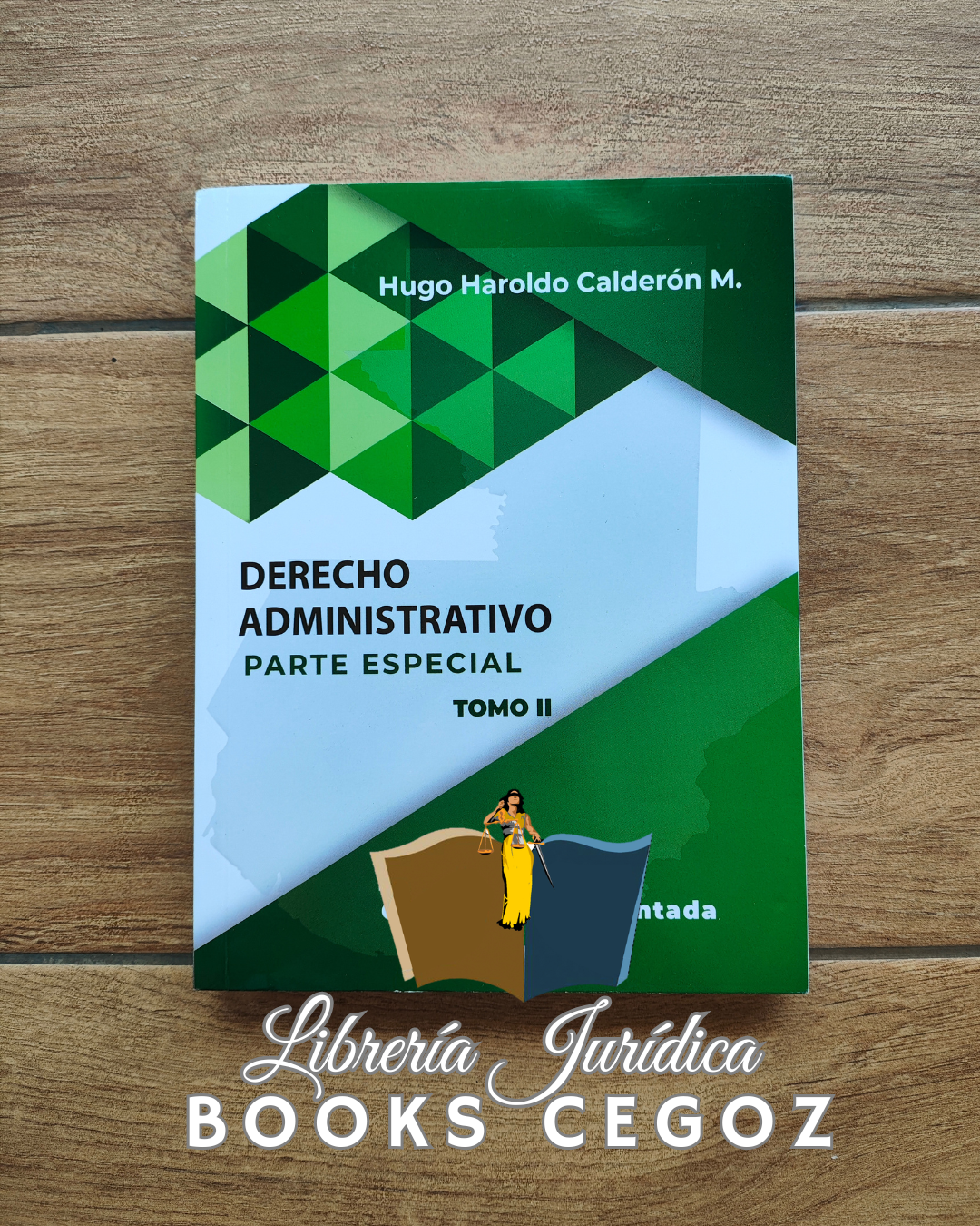 Derecho Administrativo Parte Especial Tomo II