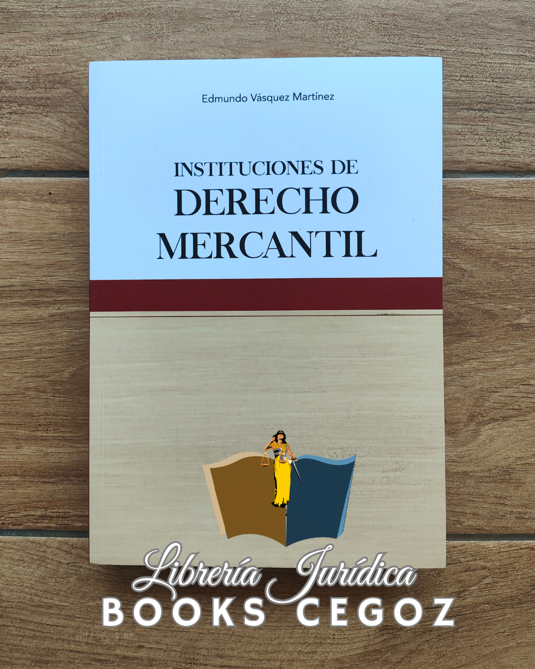 Instituciones de Derecho Mercantil