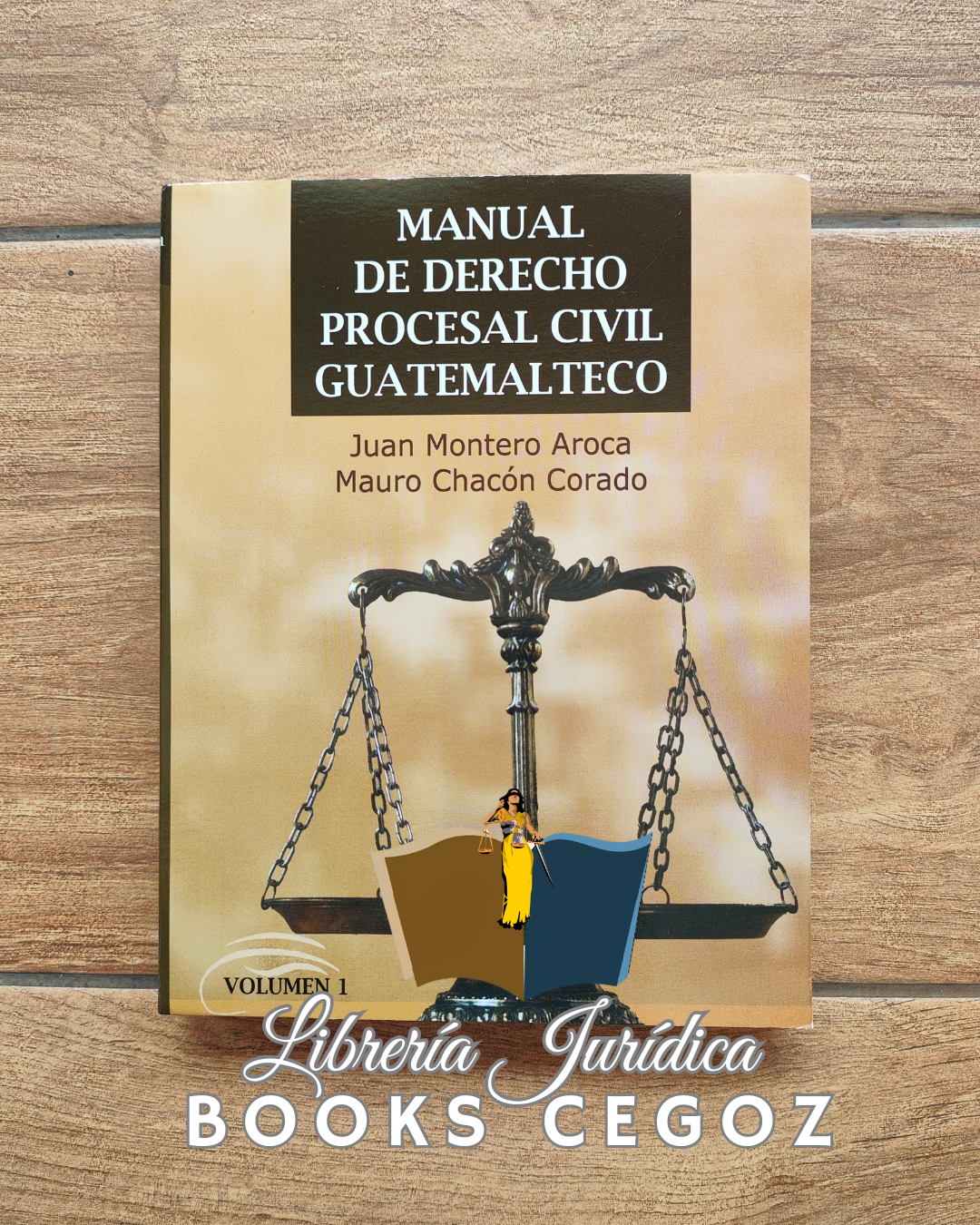 Manual de Derecho Procesal Civil Guatemalteco Volumen I