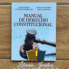 Manual de Derecho Constitucional
