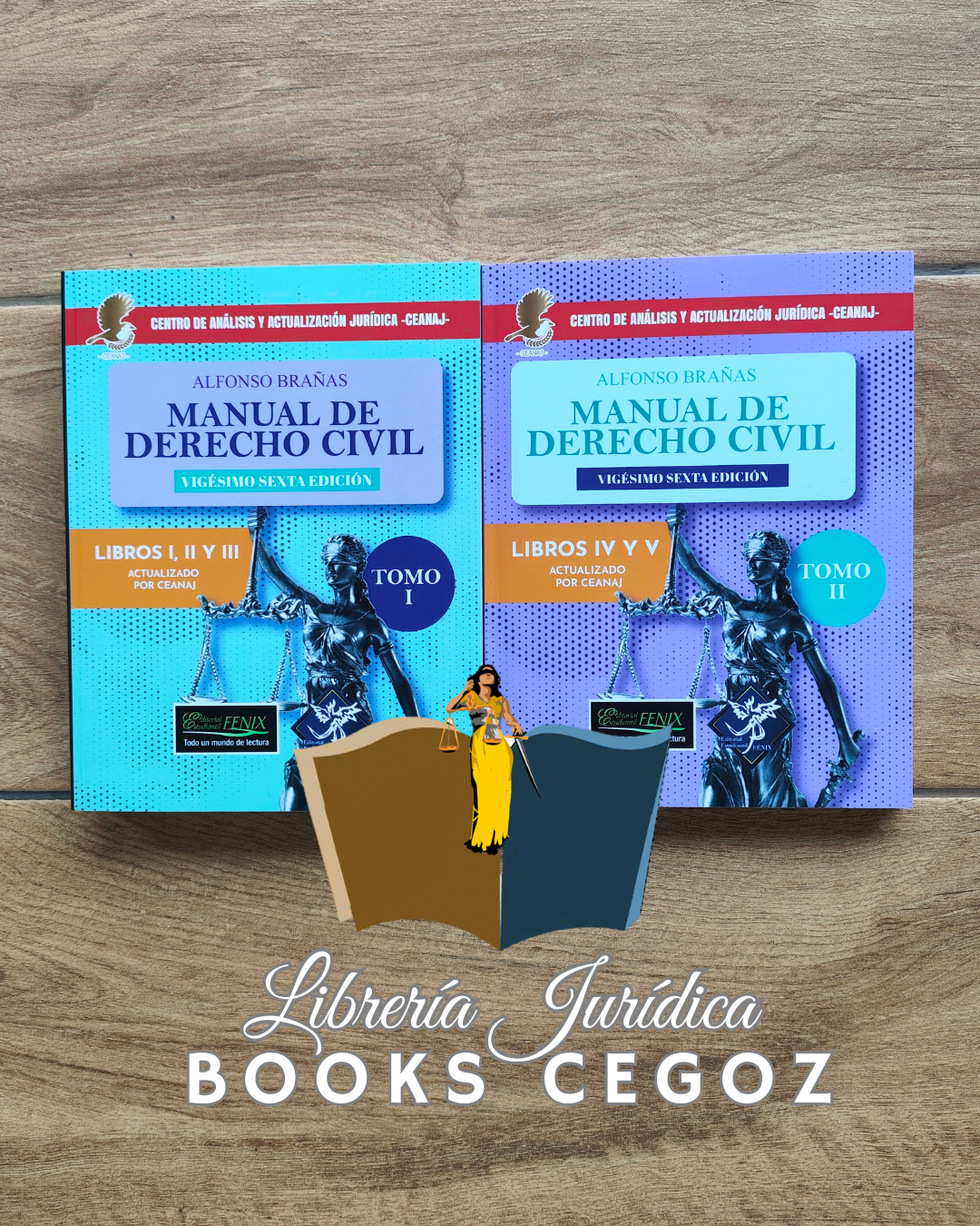 Manual de Derecho Civil (Tomo I y Tomo II)