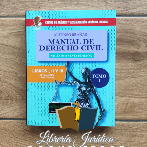 Manual de Derecho Civil (Tomo I y Tomo II)