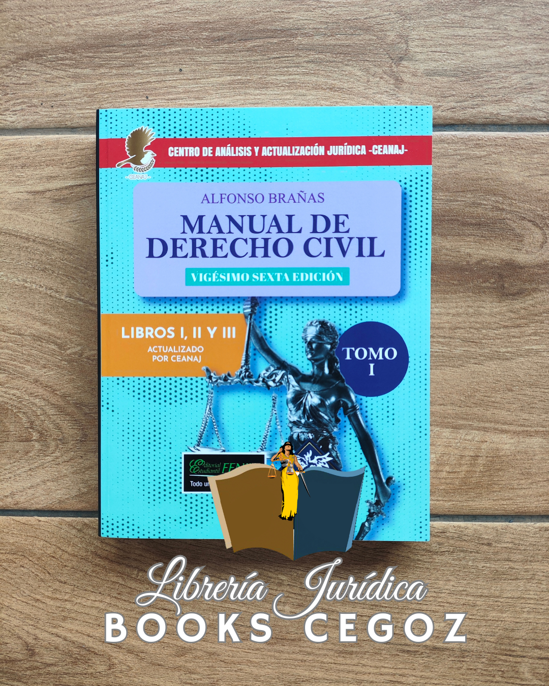 Manual de Derecho Civil (Tomo I y Tomo II)