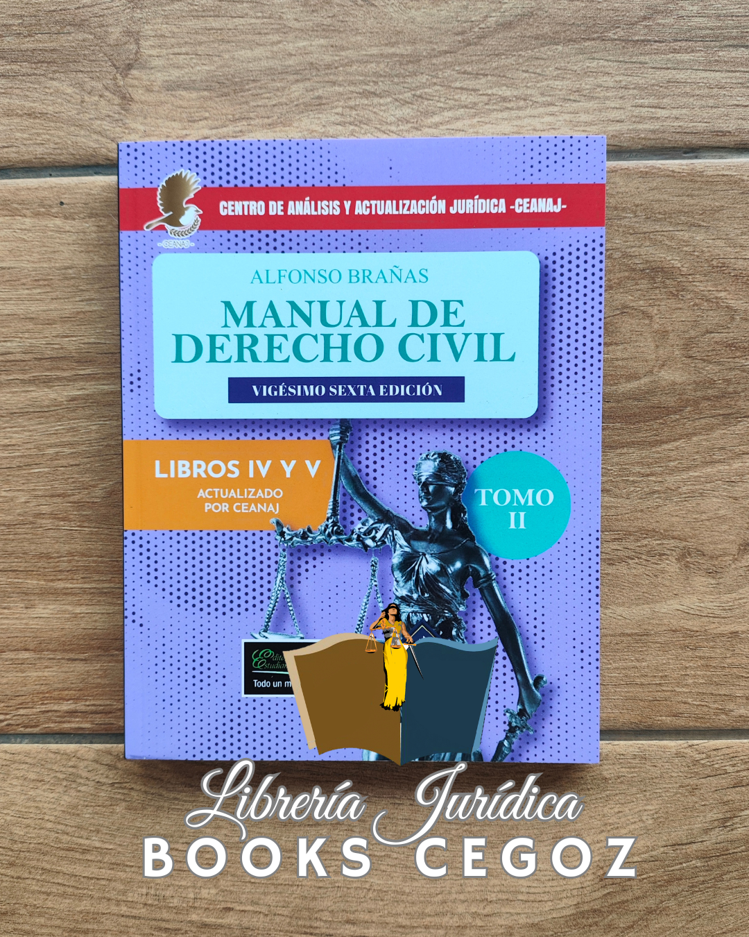 Manual de Derecho Civil (Tomo I y Tomo II)