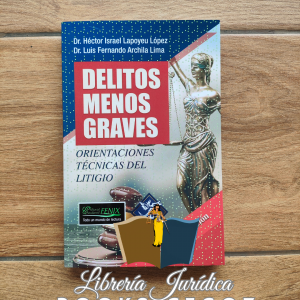 Delitos Menos Graves: Orientaciones Técnicas del Litigio