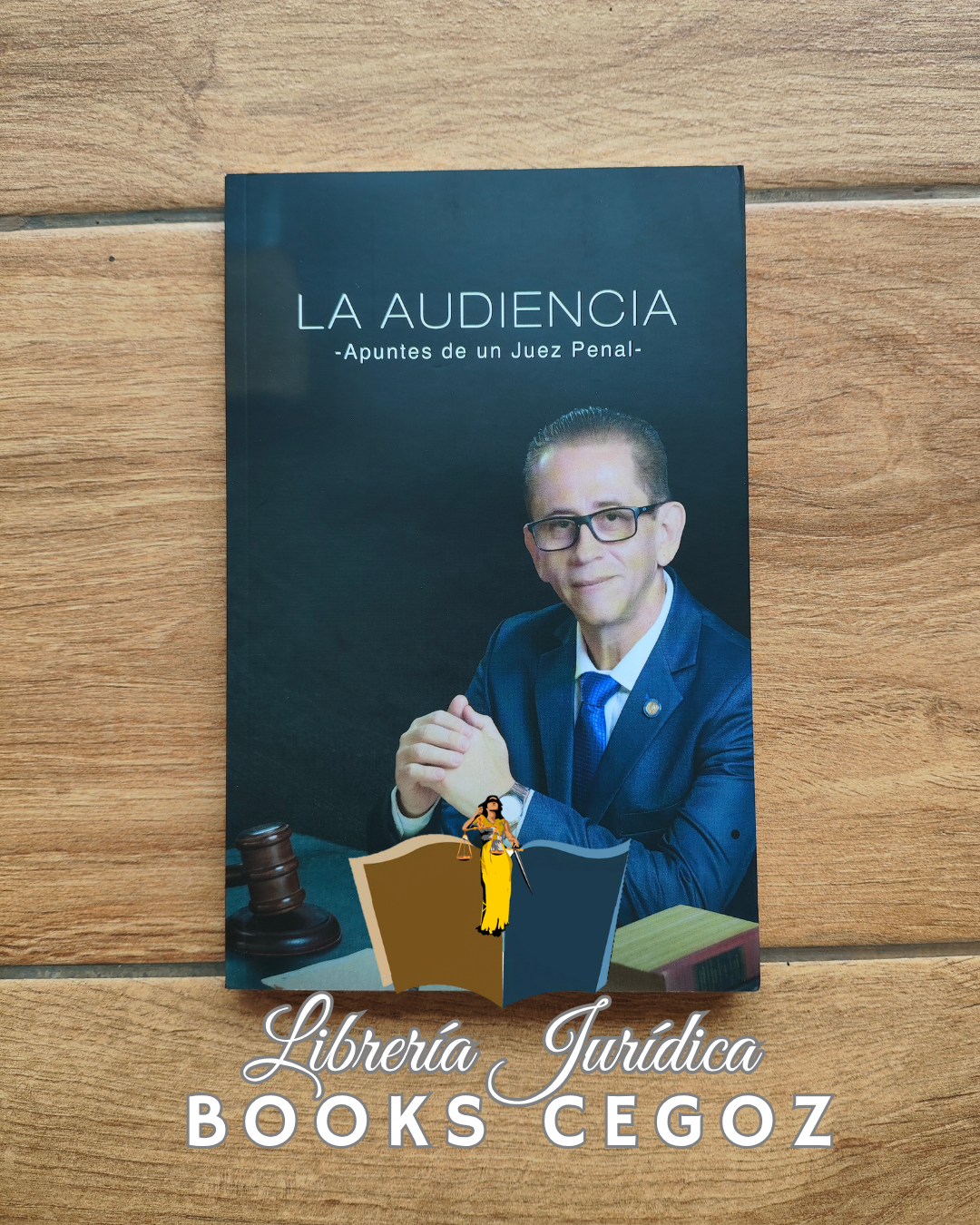 La Audiencia: Apuntes de un Juez Penal