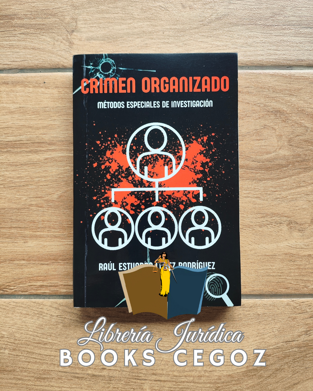 Crimen Organizado. Métodos especiales de investigación