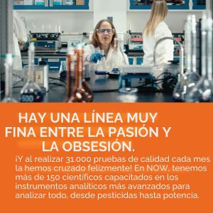 Suplementos NOW, Rhodiola 500 mg, ayuda al cuerpo a adaptarse al estrés de la vida diaria*, hierba adaptogénica*, 120 cápsulas vegetales