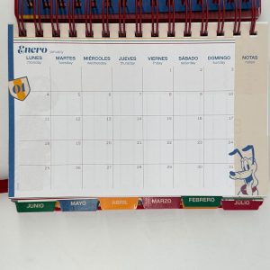 AGENDA MOOVING 2027 MICKEY AND FRIENDS