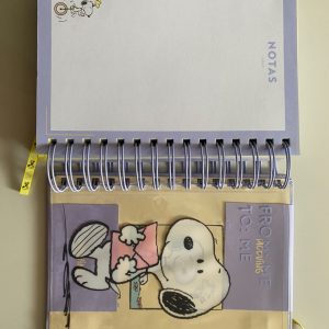 AGENDA MOOVING 2027 SNOOPY