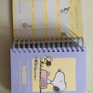 AGENDA MOOVING 2027 SNOOPY