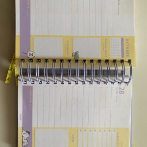 AGENDA MOOVING 2027 SNOOPY