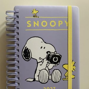 AGENDA MOOVING 2027 SNOOPY
