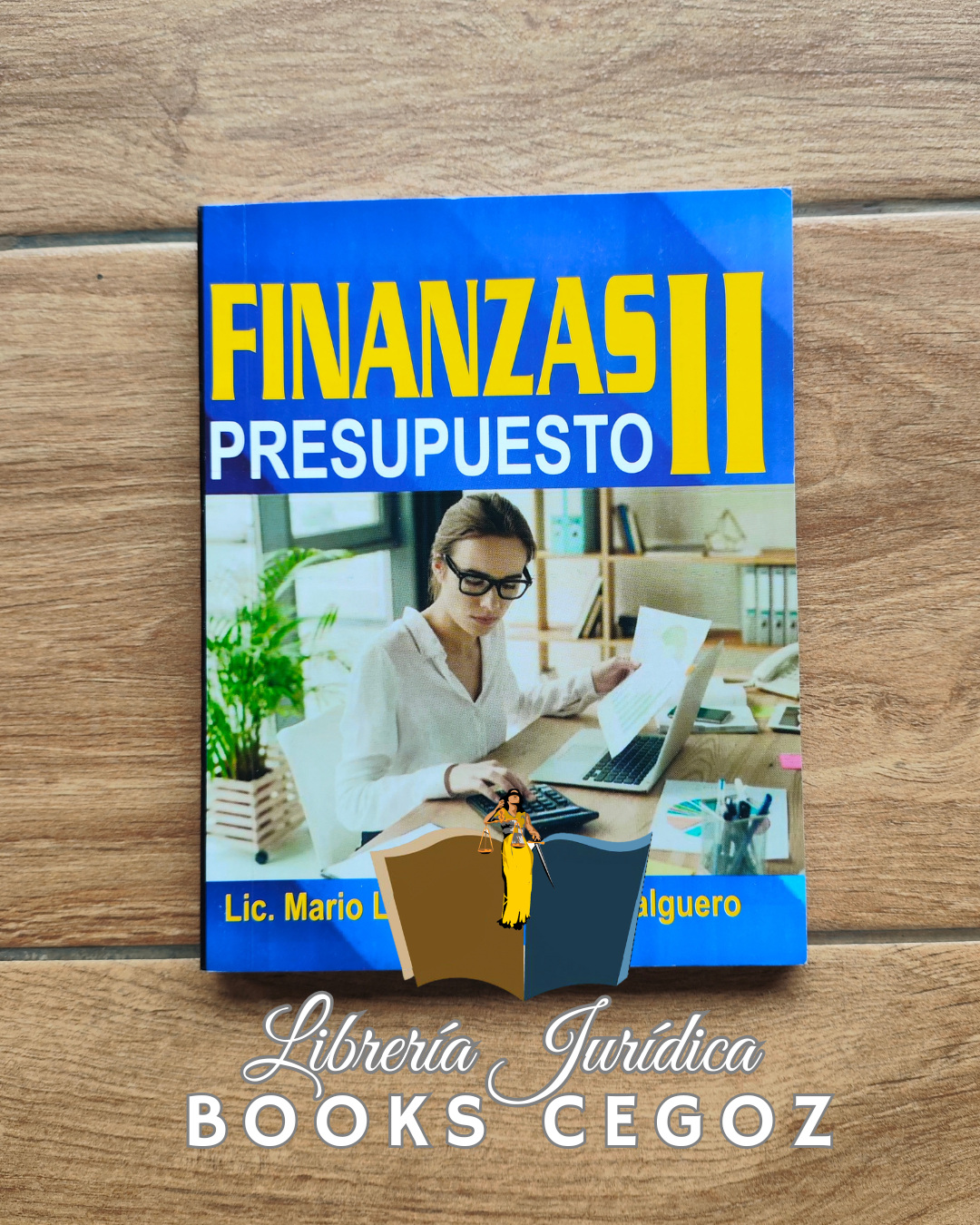Finanzas II: Presupuesto
