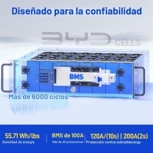 Wattcycle - Batería LiFePO4 de 48 V, 100 Ah, 100 A, BMS, montaje en rack LCD Bluetooth