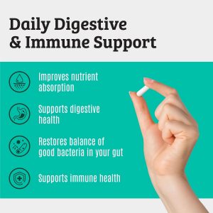 Prebiotics and Probiotics: Lactobacillus Gasseri, Lactobacillus Rhamnosus, Plantarum, Casei, Bifidobacterium longum, lactis, infantis. Probiotic Prebiotic, Pre and Probiotics for Digestive Health.