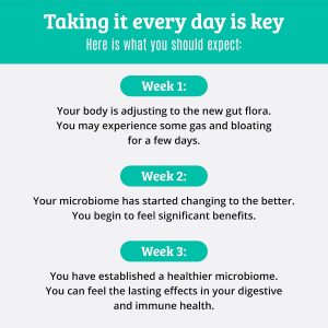 Prebiotics and Probiotics: Lactobacillus Gasseri, Lactobacillus Rhamnosus, Plantarum, Casei, Bifidobacterium longum, lactis, infantis. Probiotic Prebiotic, Pre and Probiotics for Digestive Health.
