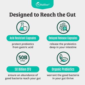 Prebiotics and Probiotics: Lactobacillus Gasseri, Lactobacillus Rhamnosus, Plantarum, Casei, Bifidobacterium longum, lactis, infantis. Probiotic Prebiotic, Pre and Probiotics for Digestive Health.
