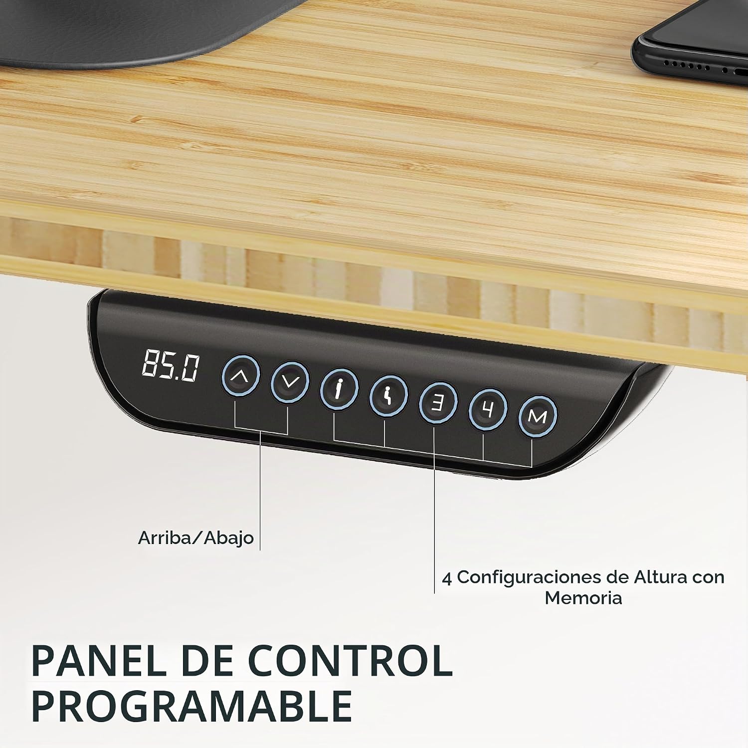 FLEXISPOT E6 MAX - Escritorio de pie grande de bambú de 72 x 30 pulgadas