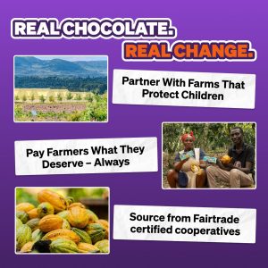 MrBeast Feastables Milk Chocolate & Milk Crunch Variety 2lb Box, Bite Size