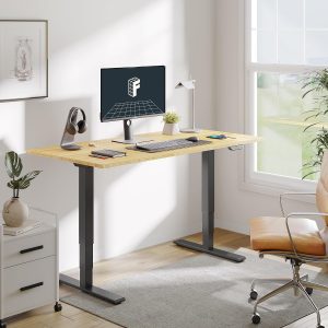 FLEXISPOT E6 MAX - Escritorio de pie grande de bambú de 72 x 30 pulgadas