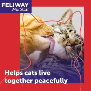 MFR backorder 050615 Feliway multicat Starter Kit 30 Día Refill (24 ml)
