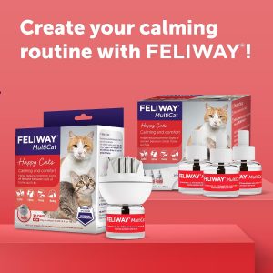MFR backorder 050615 Feliway multicat Starter Kit 30 Día Refill (24 ml)