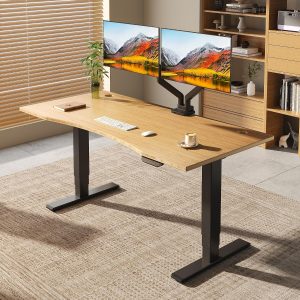 FLEXISPOT E6 MAX - Escritorio de pie grande de bambú de 60 x 30 pulgadas