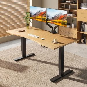 FLEXISPOT E6 MAX - Escritorio de pie grande de bambú de 60 x 30 pulgadas
