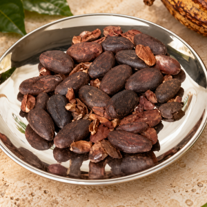 Semilla de Cacao