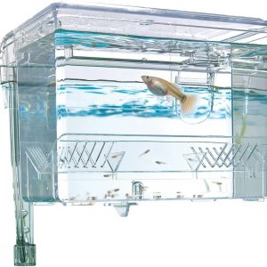 Marina Hang-On Cría Caja, M