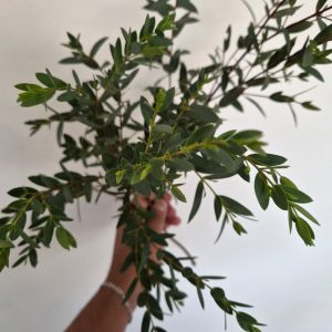 “Armonía de Primavera” – Ramo Floral Premium